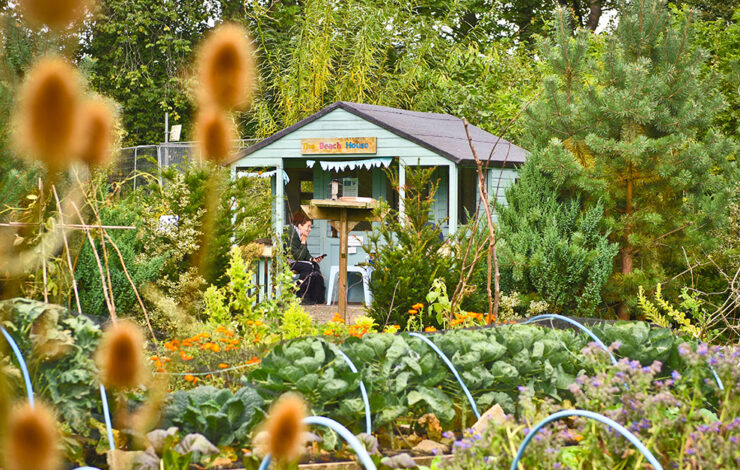 Community garden with lady sitting in hut titled The Beach House