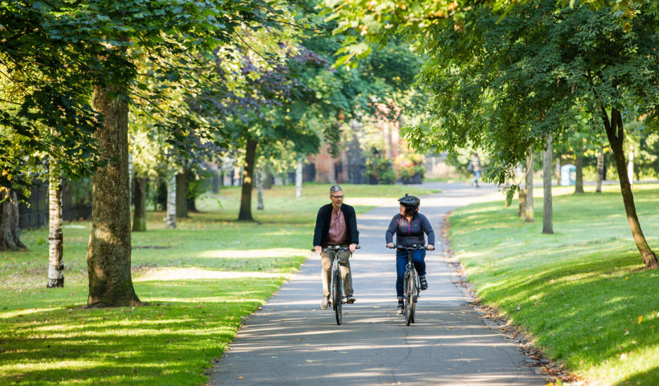 man and woman cycling on a tree lined path