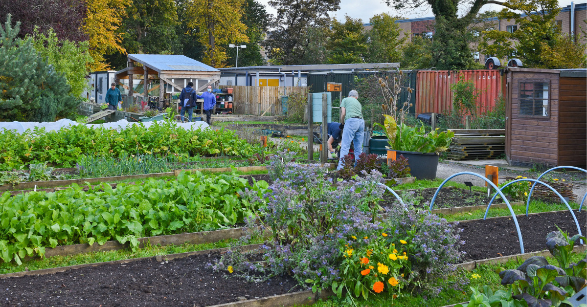 Greenspace at Royal Edinburgh Hospital