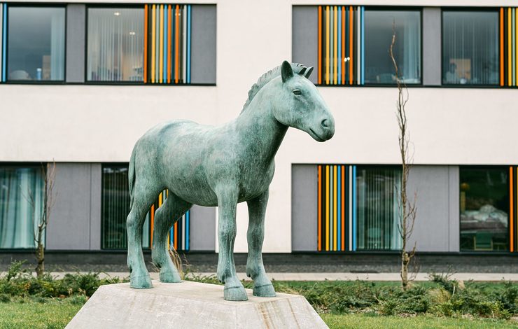 Tonic Arts Commission at East Lothian Community Hospital called Pony