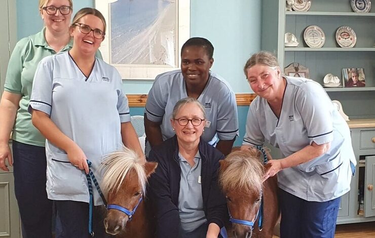 NHS Lothian staff smiling with two therapy ponies