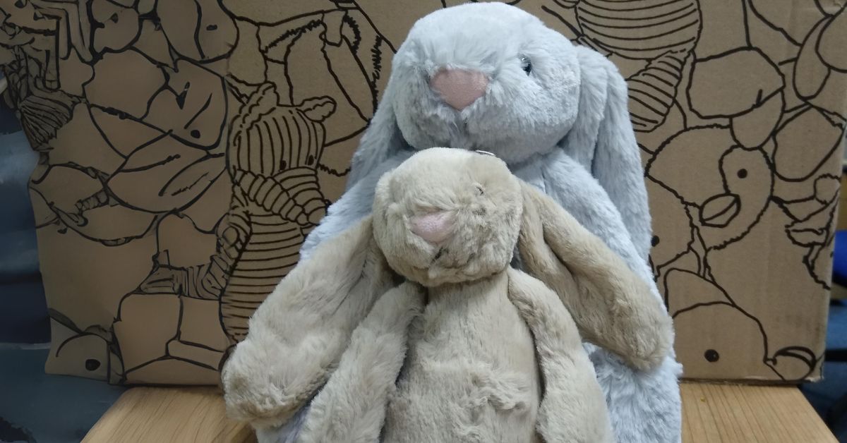 Bunny Buddies: A Comforting Cuddle During Difficult Times - NHS Lothian ...