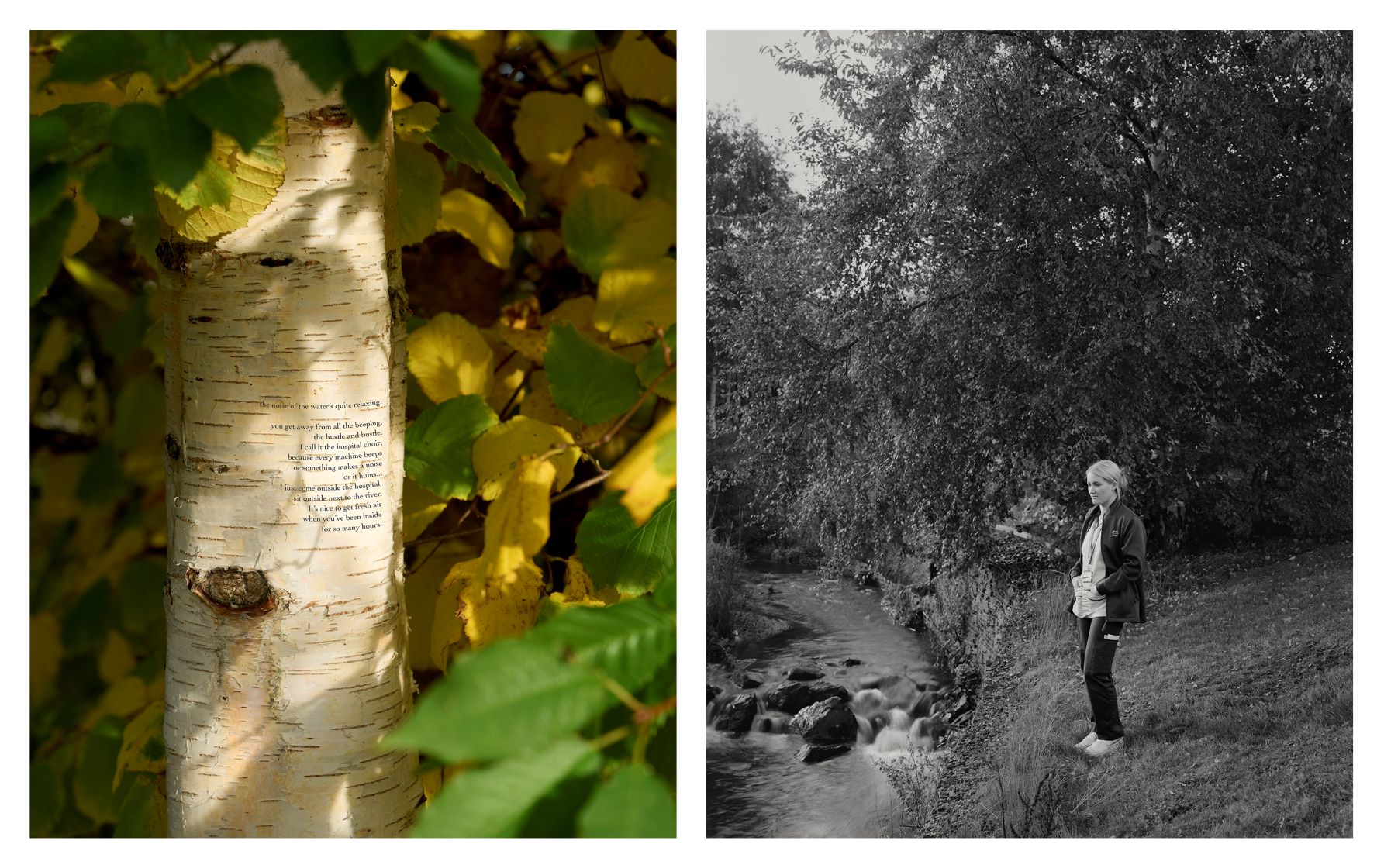 Diptych image of Gemma Turnbull and their haven