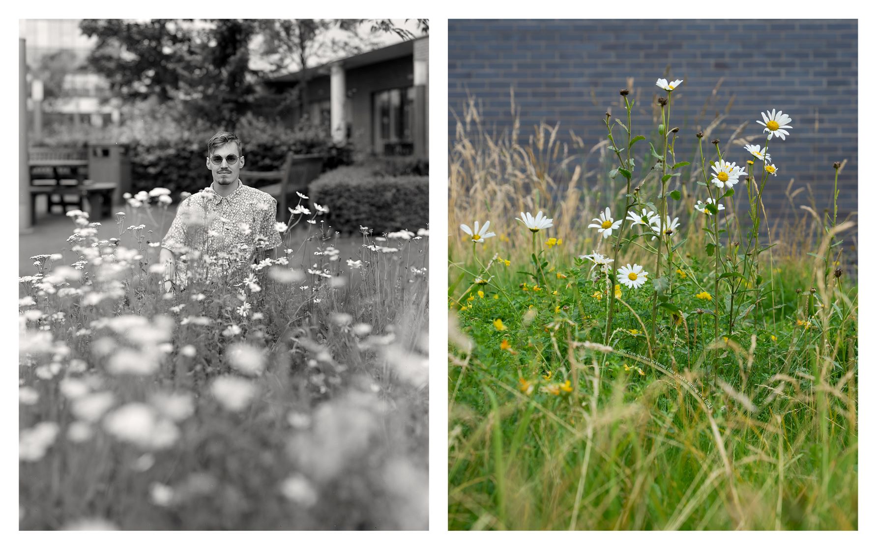 Diptych image of Jack Hellberg and their haven