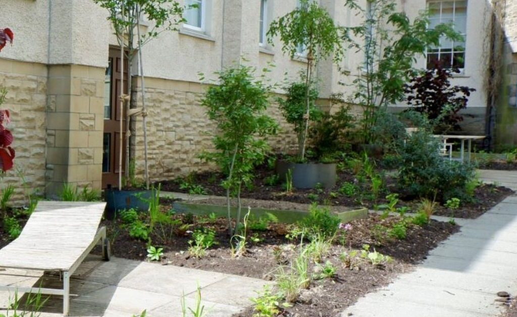 Woodland House outdoor space transformed thanks to NHS Lothian Charity Climate Challenge Grant funding