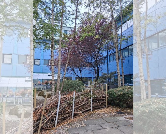 Dead Hedge space at WGH 2