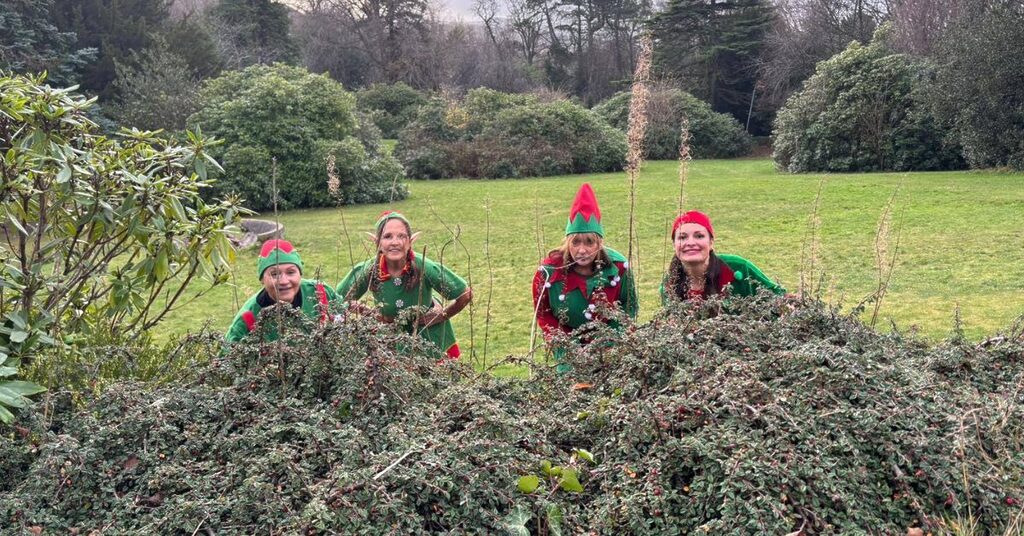 Unison staff celebrating National Elf Service Day across NHS Lothian sites