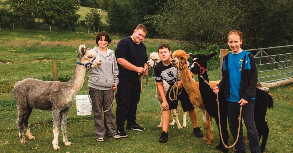 Alpaca trekking - Peer support weekend with Teenage Cancer Trust at Crieff Hydro