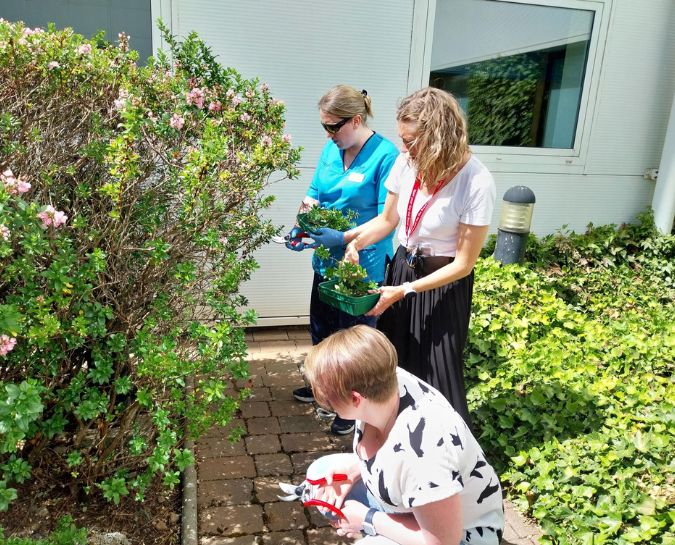 ranger activity rie hero