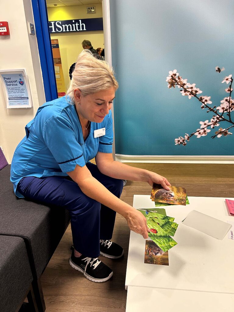 Speech and Language Therapist looking at nature postcards on a table