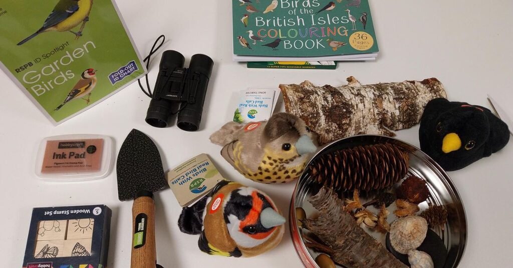 Nature box items such as pine cones, bird information, etc