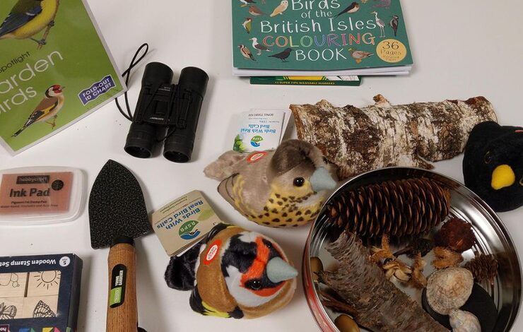 Nature box items such as pine cones, bird information, etc