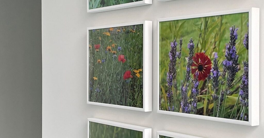 Photography as part of the Looking Through a Lens exhibition