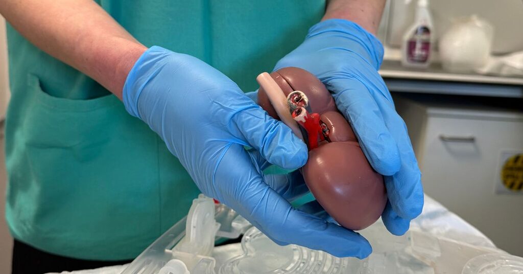 nhs staff wearing blue gloves holding an artificial kidney