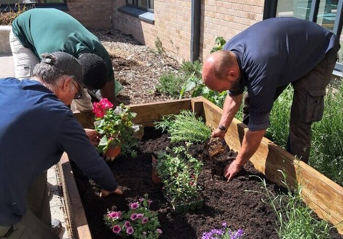 Group of men planting flowers in a planter