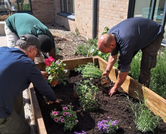 Group of men planting flowers in a planter