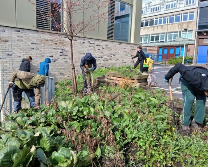 wgh rspb nature connections spring 1