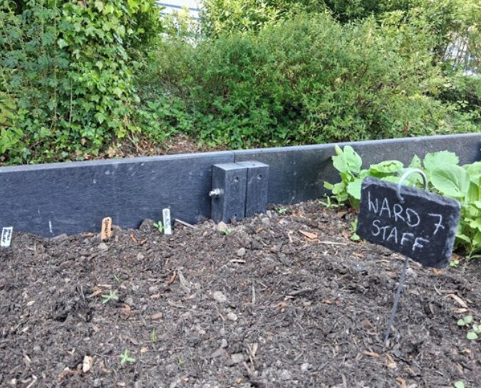 wgh rspb nature connections spring 2