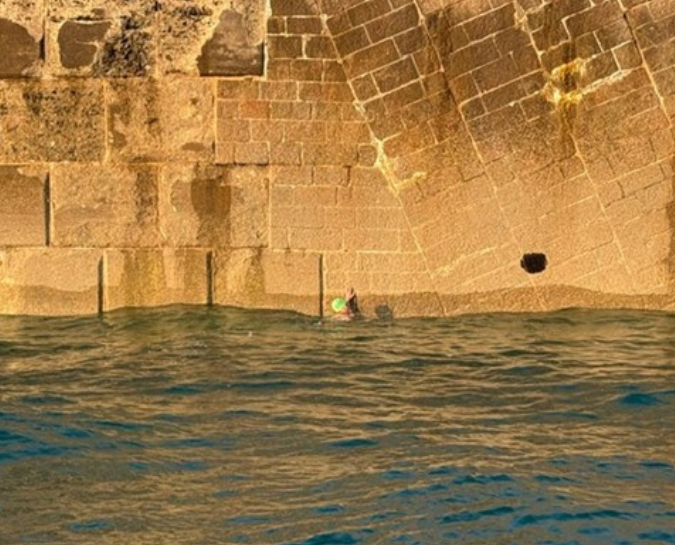 Nicky in the sea swimming