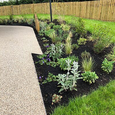 garden outside ward 2 at East Lothian Community Hospital