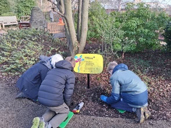 Volunteers planting bulbs in Amanda's garden at the Edinburgh Cancer Centre